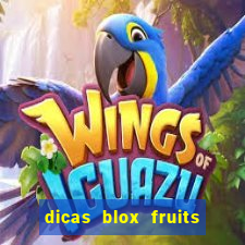 dicas blox fruits sea 1