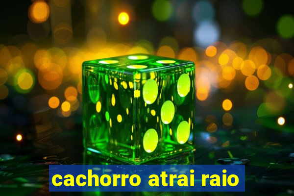 cachorro atrai raio