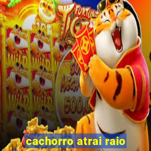 cachorro atrai raio