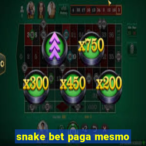 snake bet paga mesmo