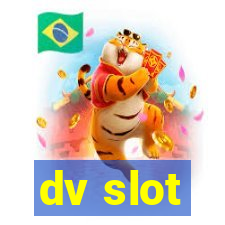 dv slot