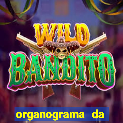 organograma da cacau show