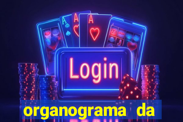 organograma da cacau show