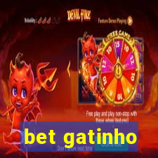 bet gatinho