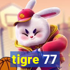 tigre 77