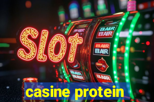 casine protein