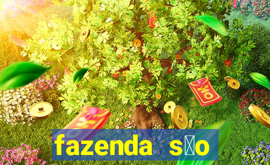 fazenda s茫o francisco musica