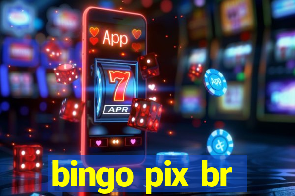 bingo pix br