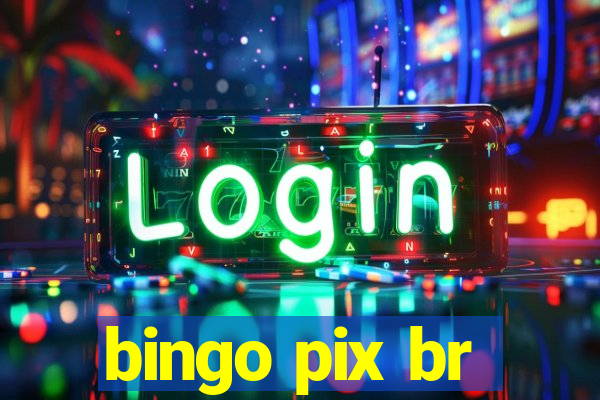 bingo pix br