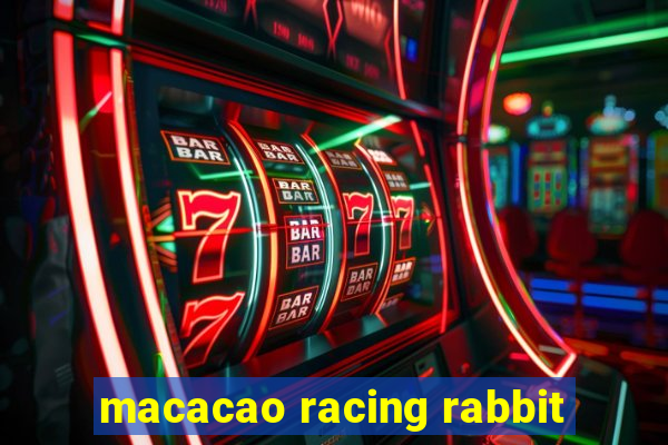 macacao racing rabbit