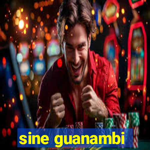 sine guanambi