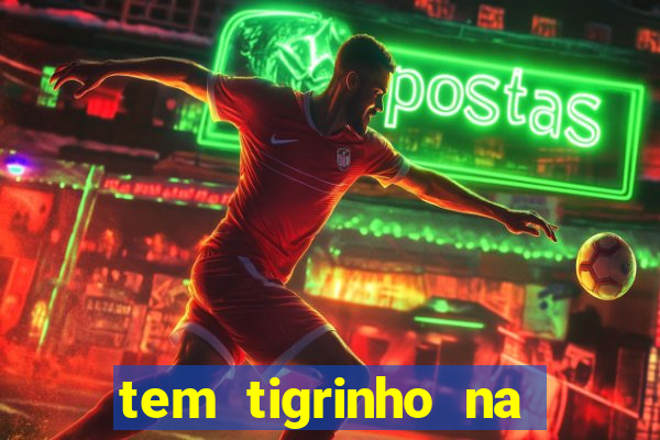 tem tigrinho na bet 365