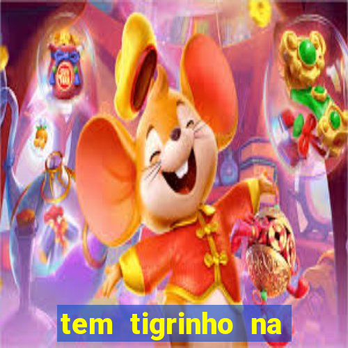 tem tigrinho na bet 365