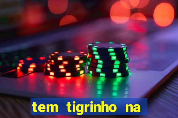 tem tigrinho na bet 365