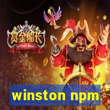 winston npm