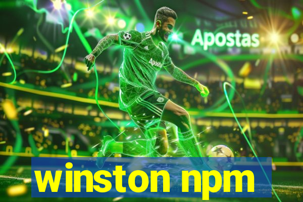 winston npm