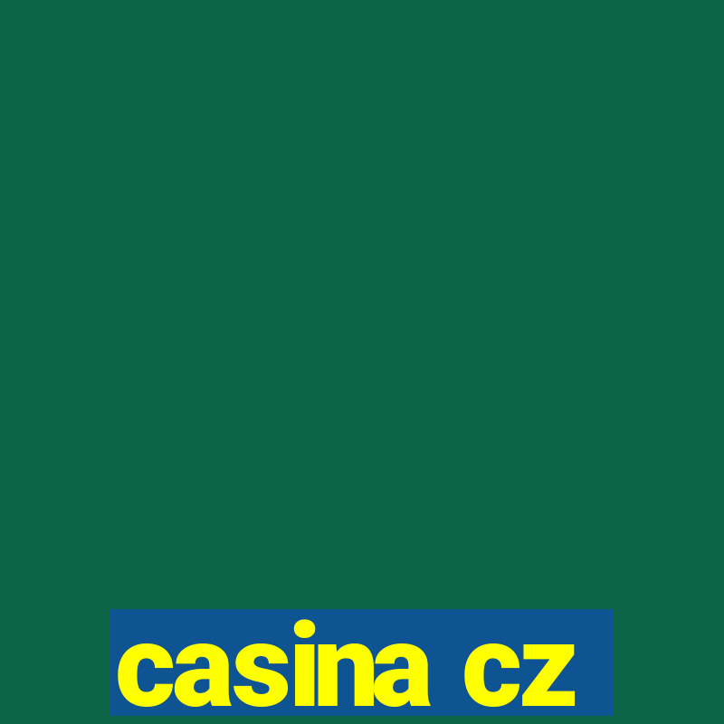 casina cz