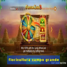 floricultura campo grande