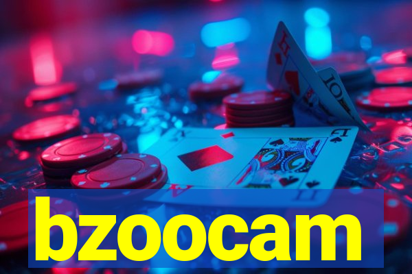 bzoocam