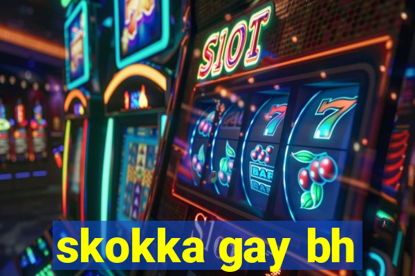 skokka gay bh