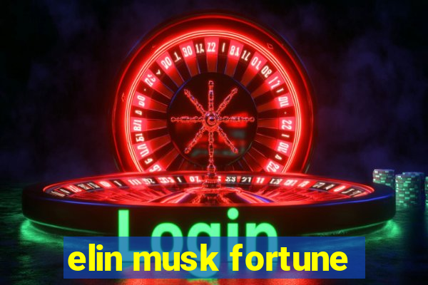 elin musk fortune