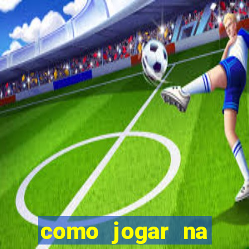 como jogar na lotinha do jogo do bicho