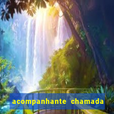 acompanhante chamada de video