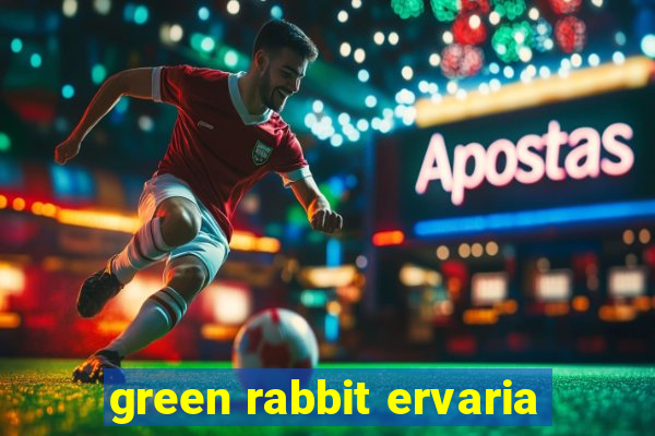 green rabbit ervaria