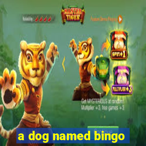 a dog named bingo