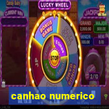 canhao numerico