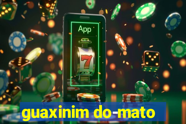 guaxinim do-mato