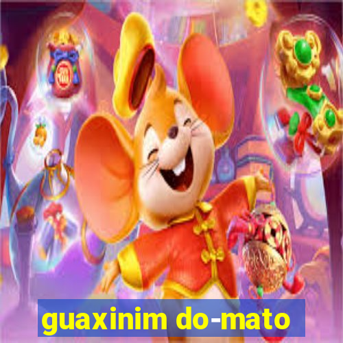 guaxinim do-mato