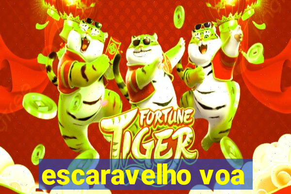 escaravelho voa