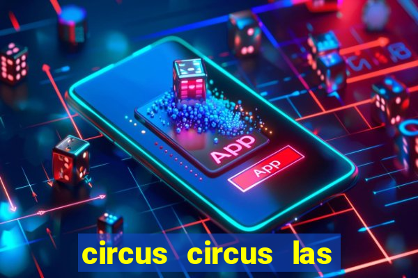 circus circus las vegas hotel & casino