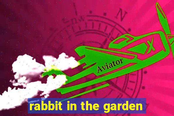 rabbit in the garden