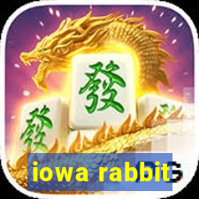 iowa rabbit