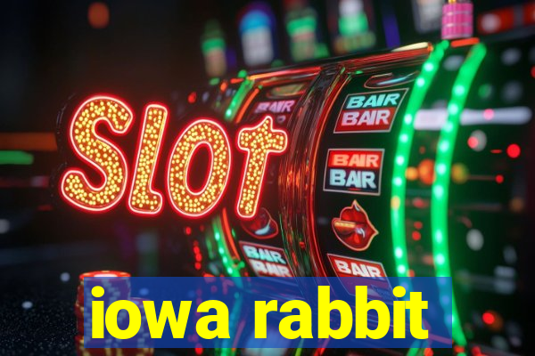 iowa rabbit