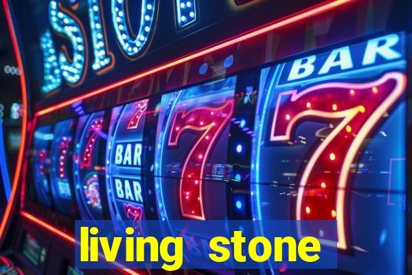 living stone network tv