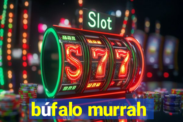 búfalo murrah