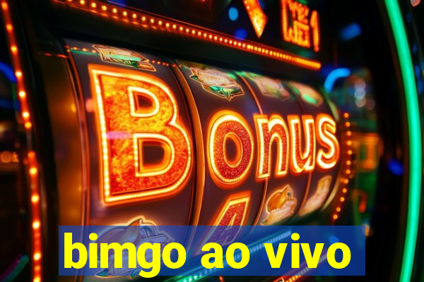 bimgo ao vivo