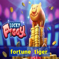 fortune tiger cassino -456bet