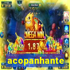 acopanhante