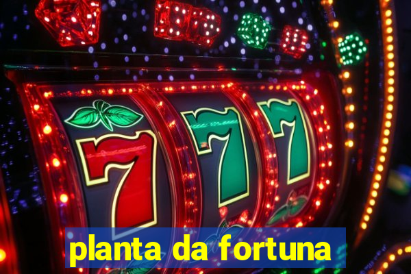 planta da fortuna