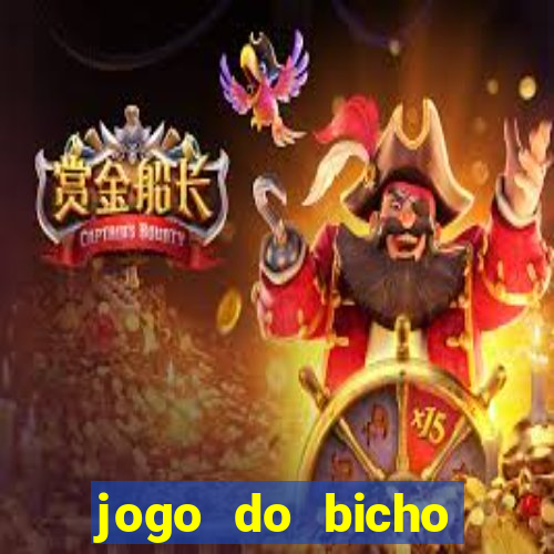 jogo do bicho crash mines