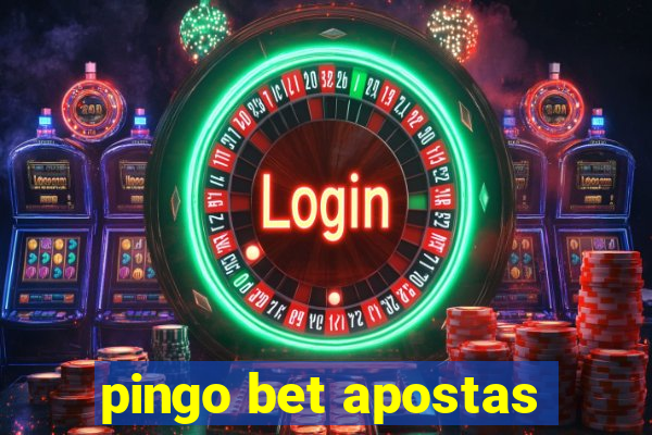 pingo bet apostas