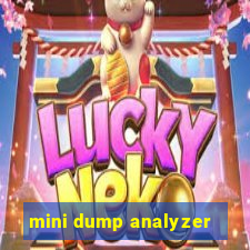 mini dump analyzer