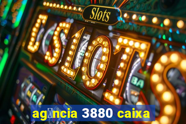 ag锚ncia 3880 caixa