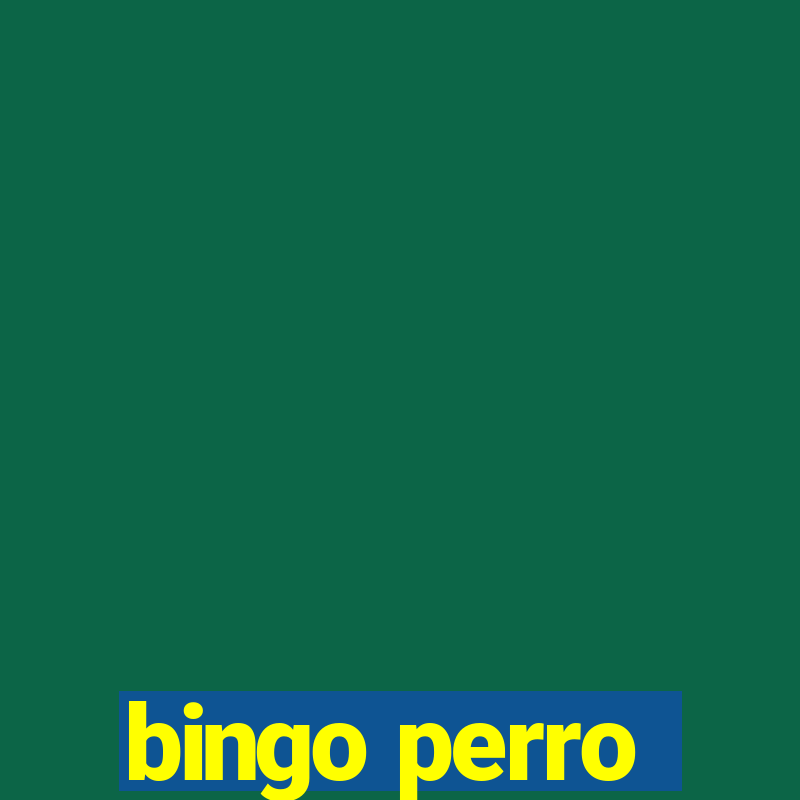 bingo perro