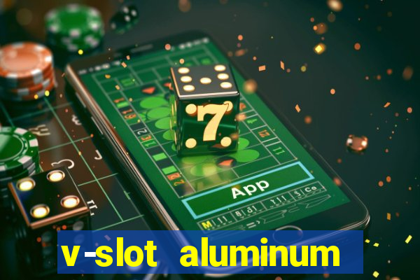 v-slot aluminum profile extrusion