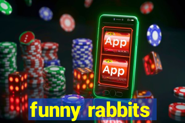 funny rabbits